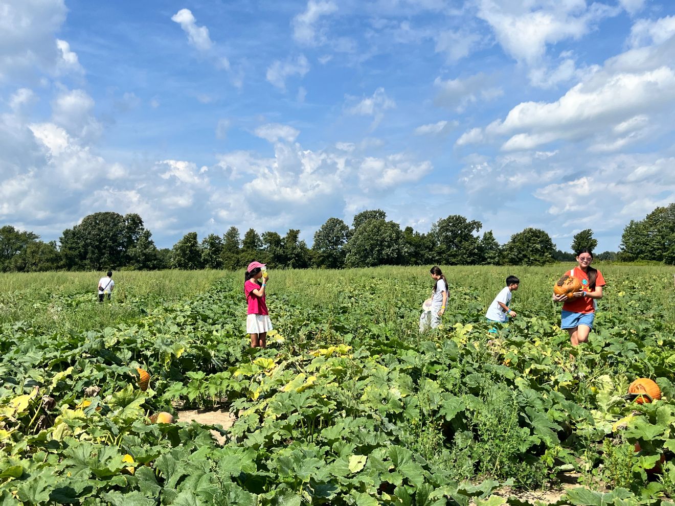 Pumpkin farm visit